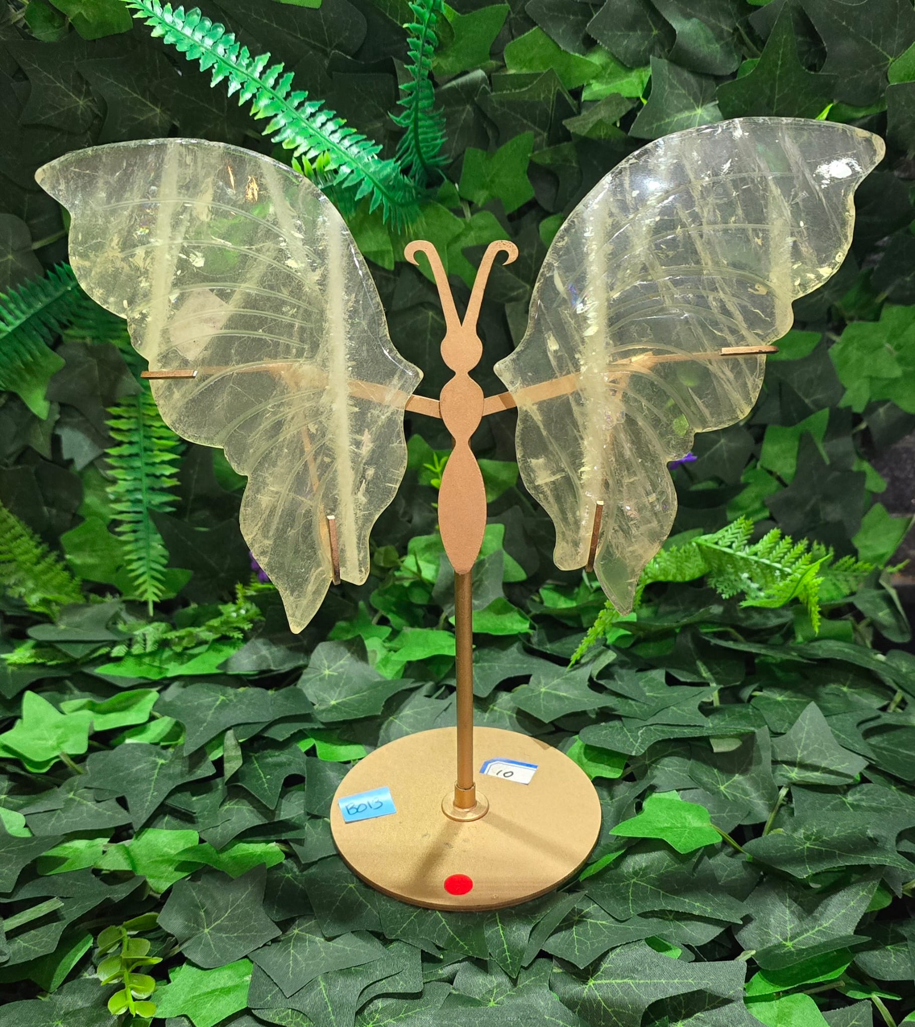 Citrine Butterfly