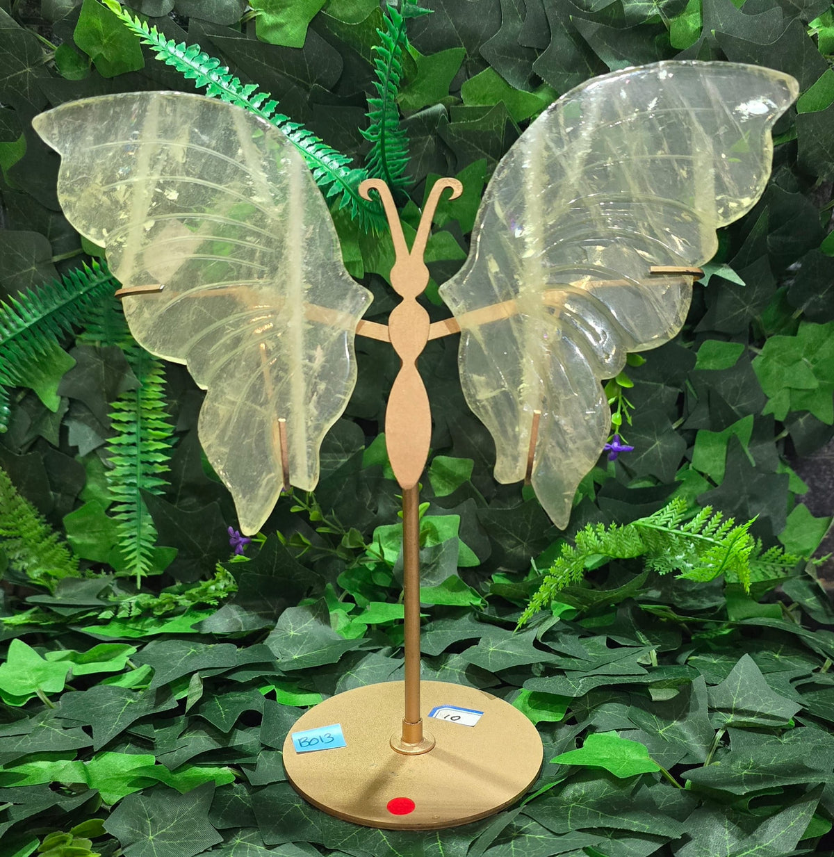 Citrine Butterfly