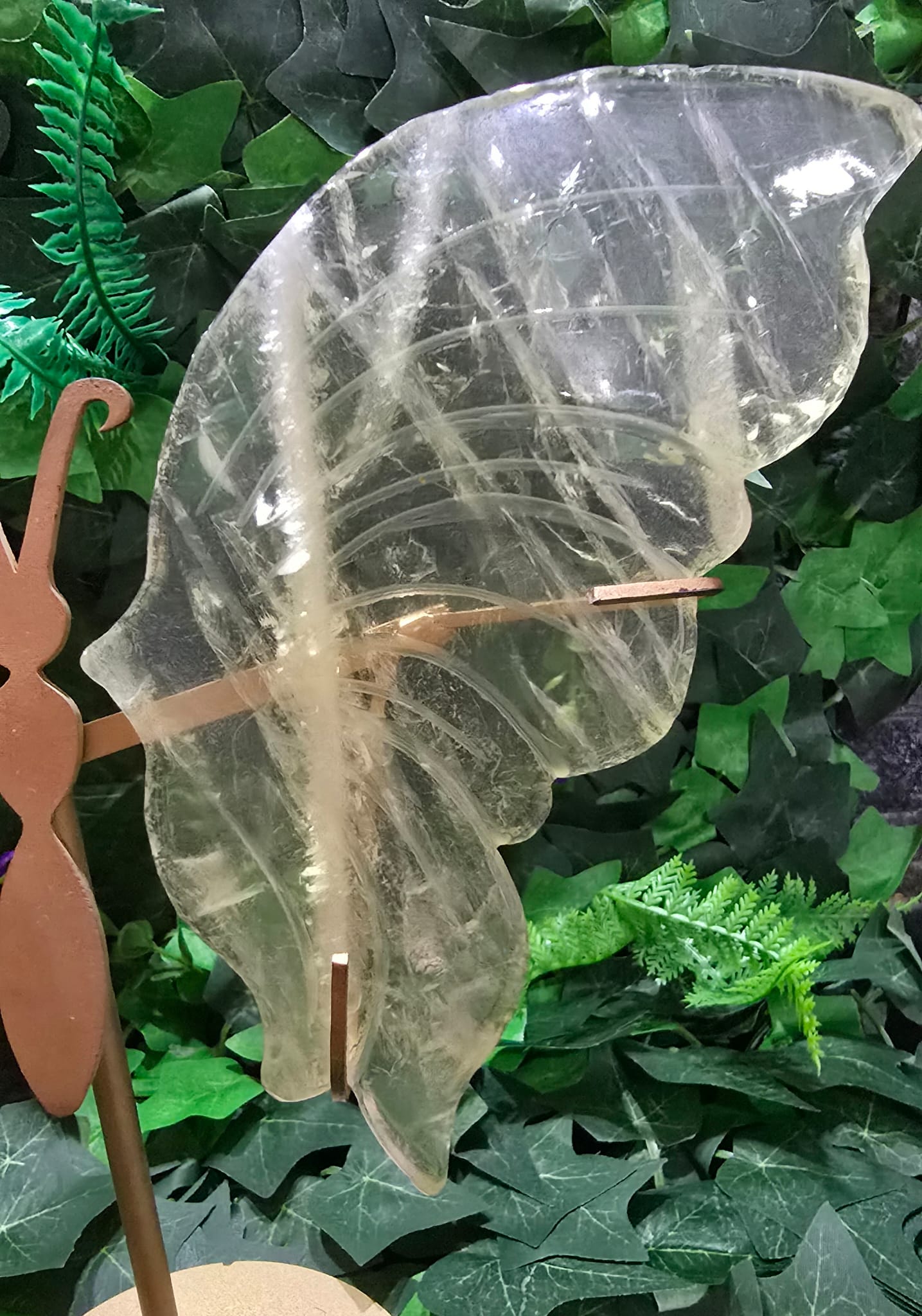 Citrine Butterfly