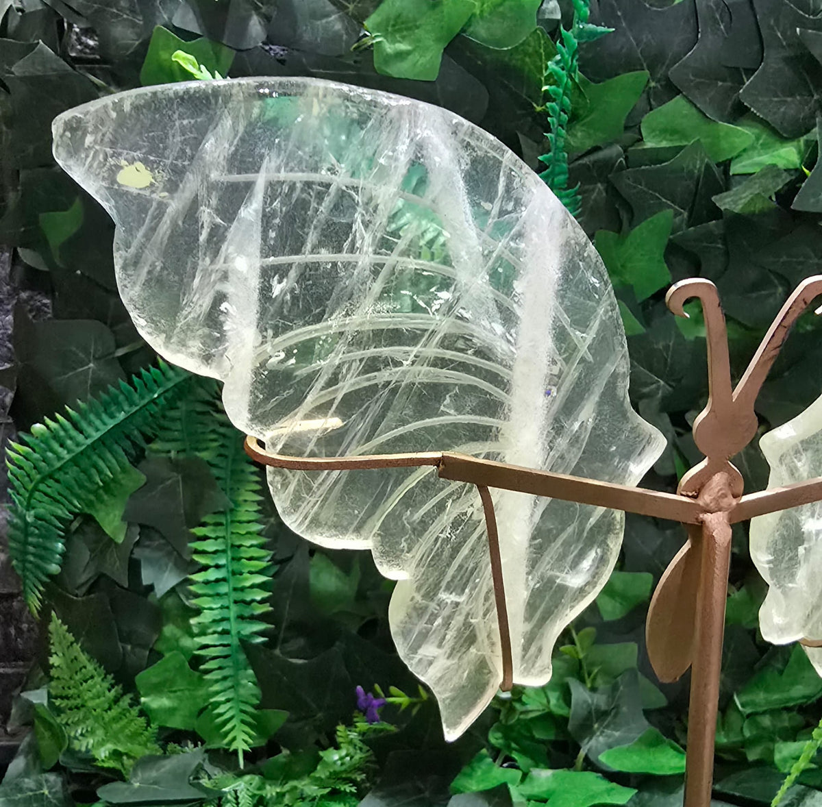Citrine Butterfly