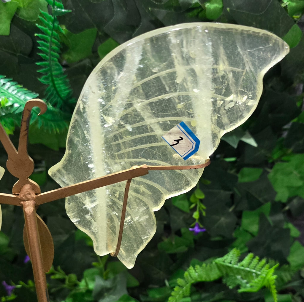 Citrine Butterfly