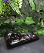 Black Obsidian Raven Skull
