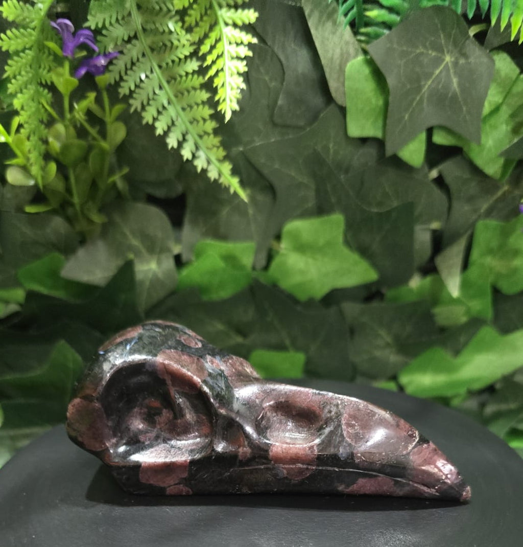 Garnet Raven Skull