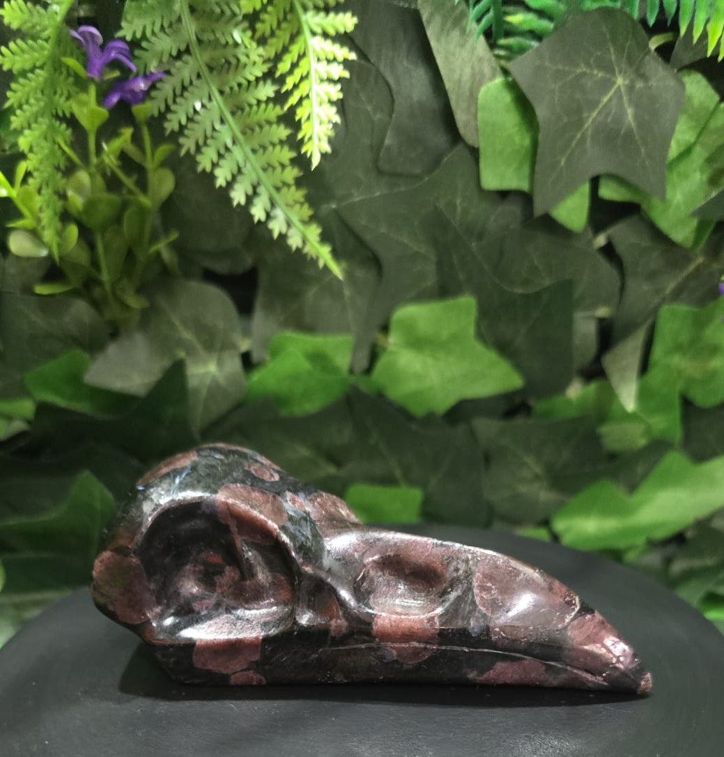 Garnet Raven Skull