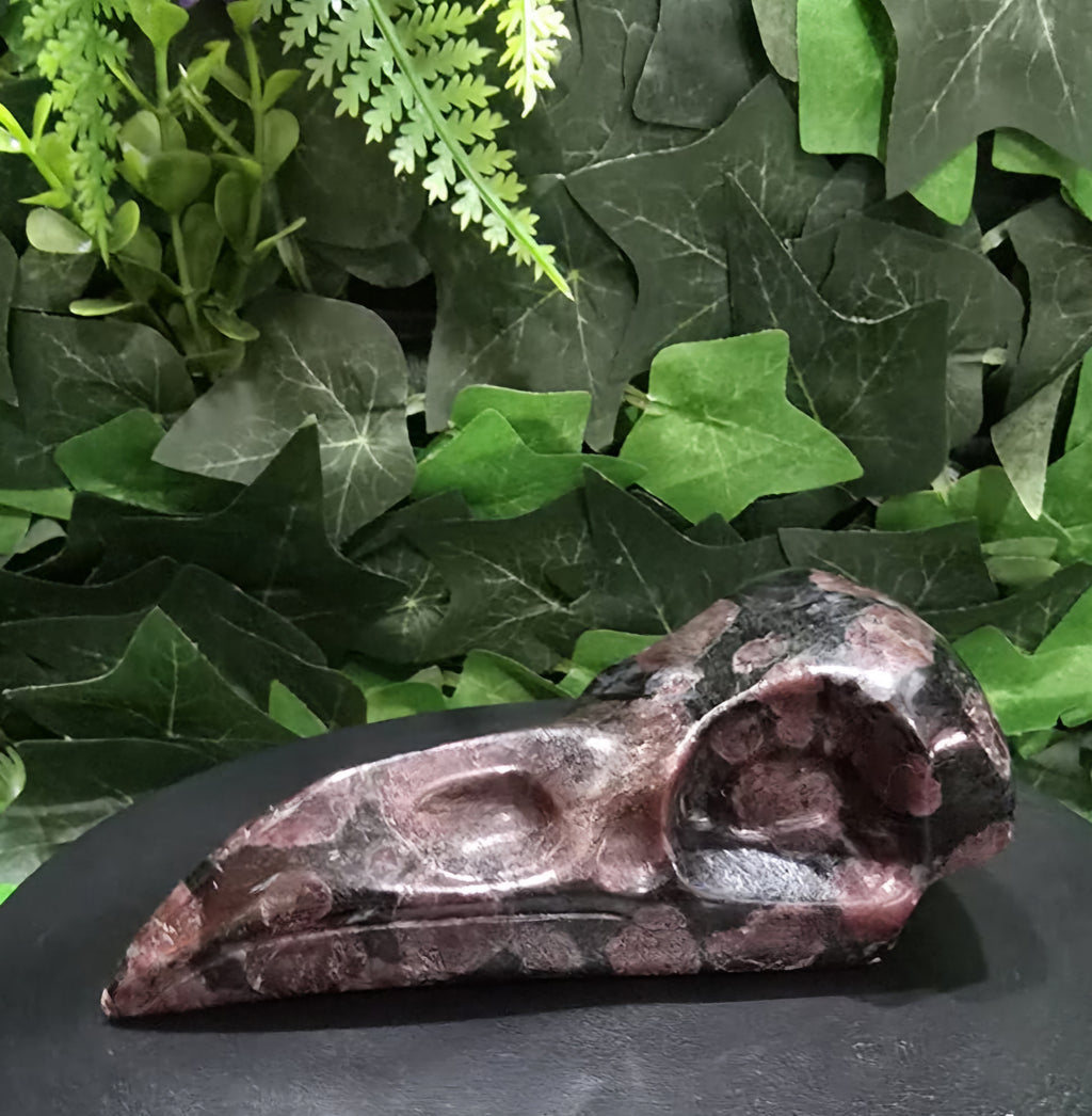 Garnet Raven Skull
