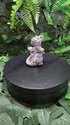 Yooperlite flying dragon