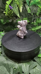Yooperlite flying dragon