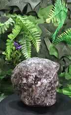 Yooperlite Hooded Skeleton Head