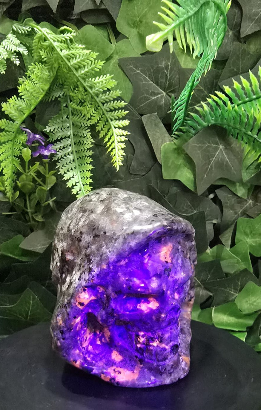 Yooperlite Hooded Skeleton Head