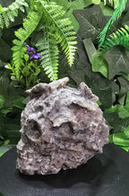 Yooperlite Skull