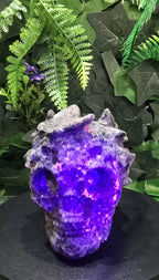 Yooperlite Skull
