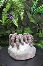 Yooperlite spider on rock