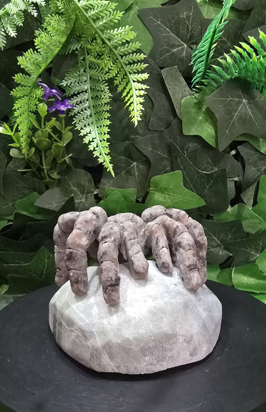Yooperlite spider on rock