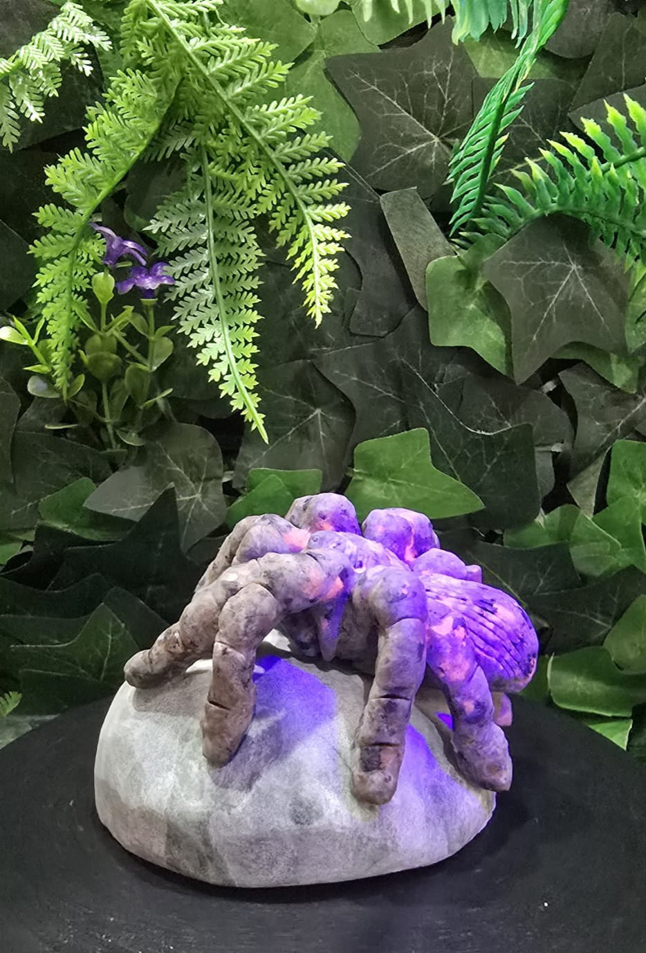 Yooperlite spider on rock