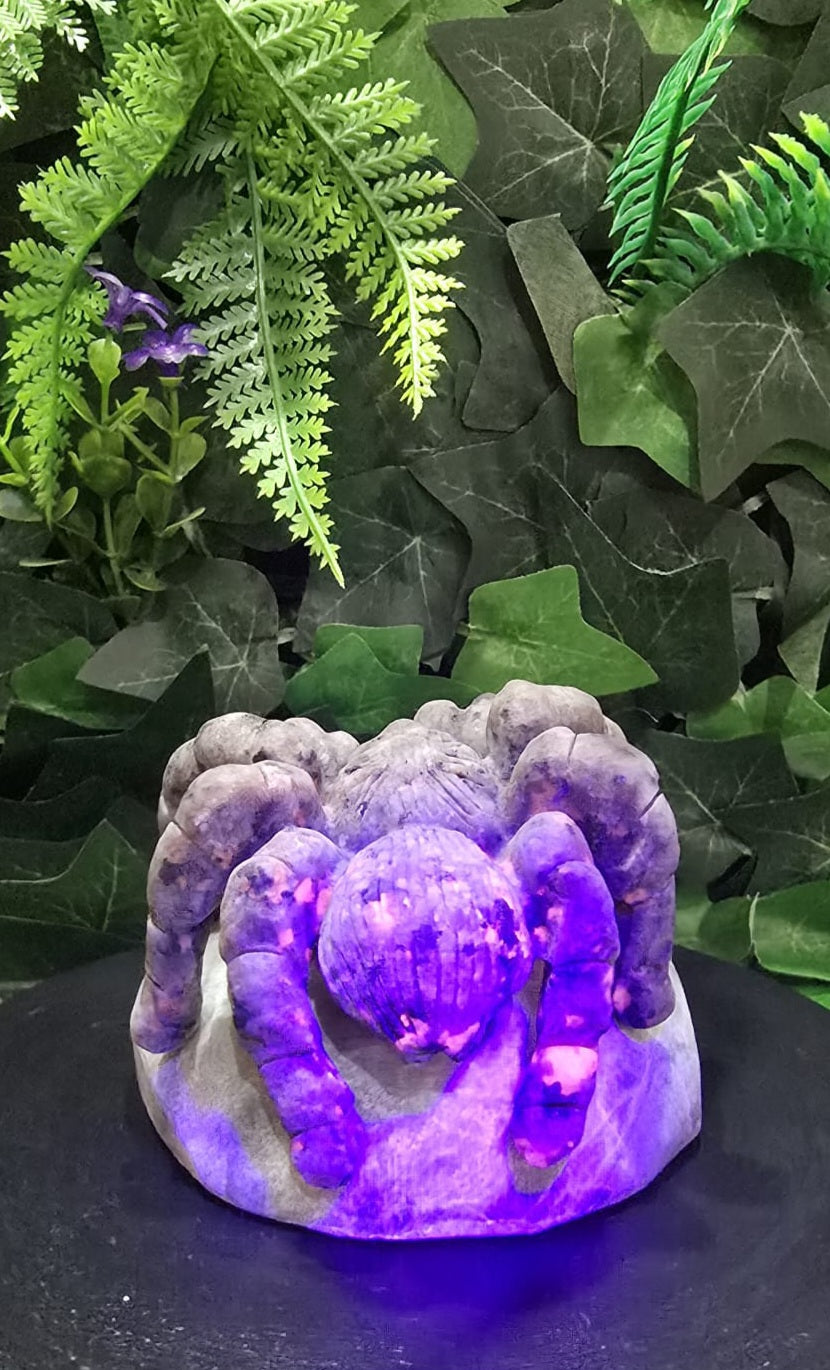 Yooperlite spider on rock