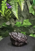 Black Obsidian Money Toad