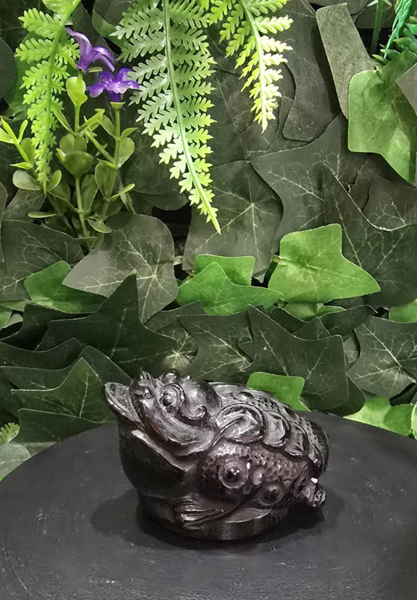 Black Obsidian Money Toad