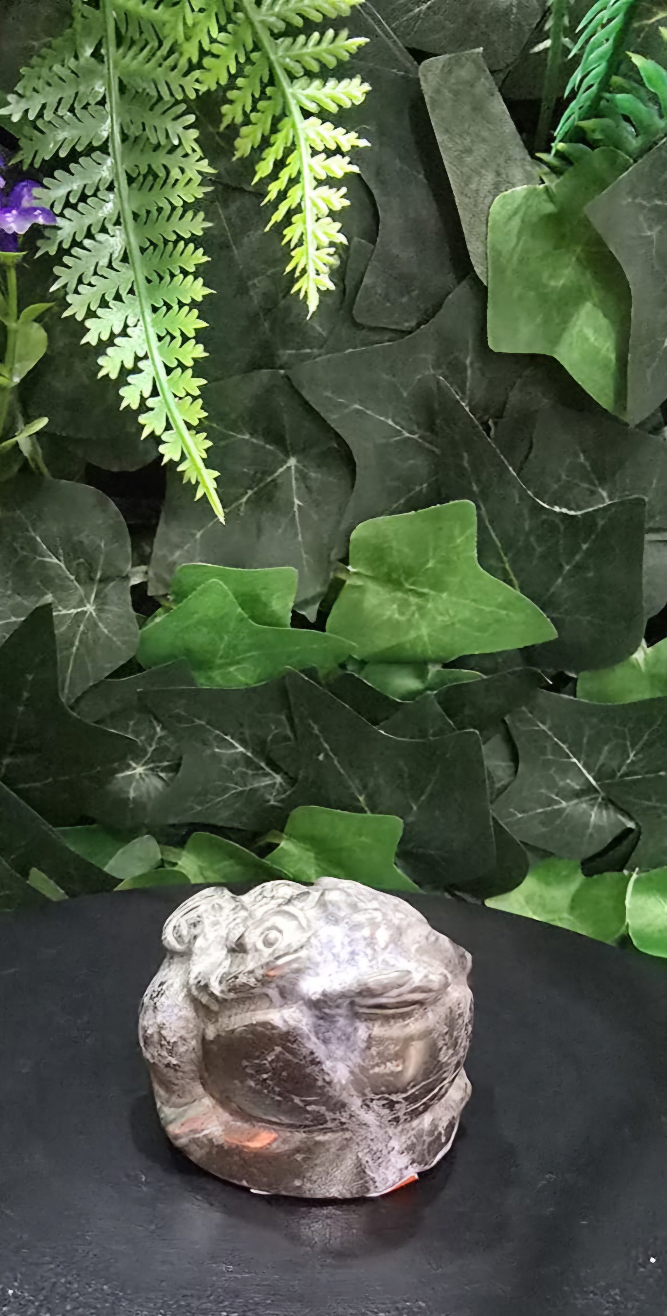 Pyrite Money Toad