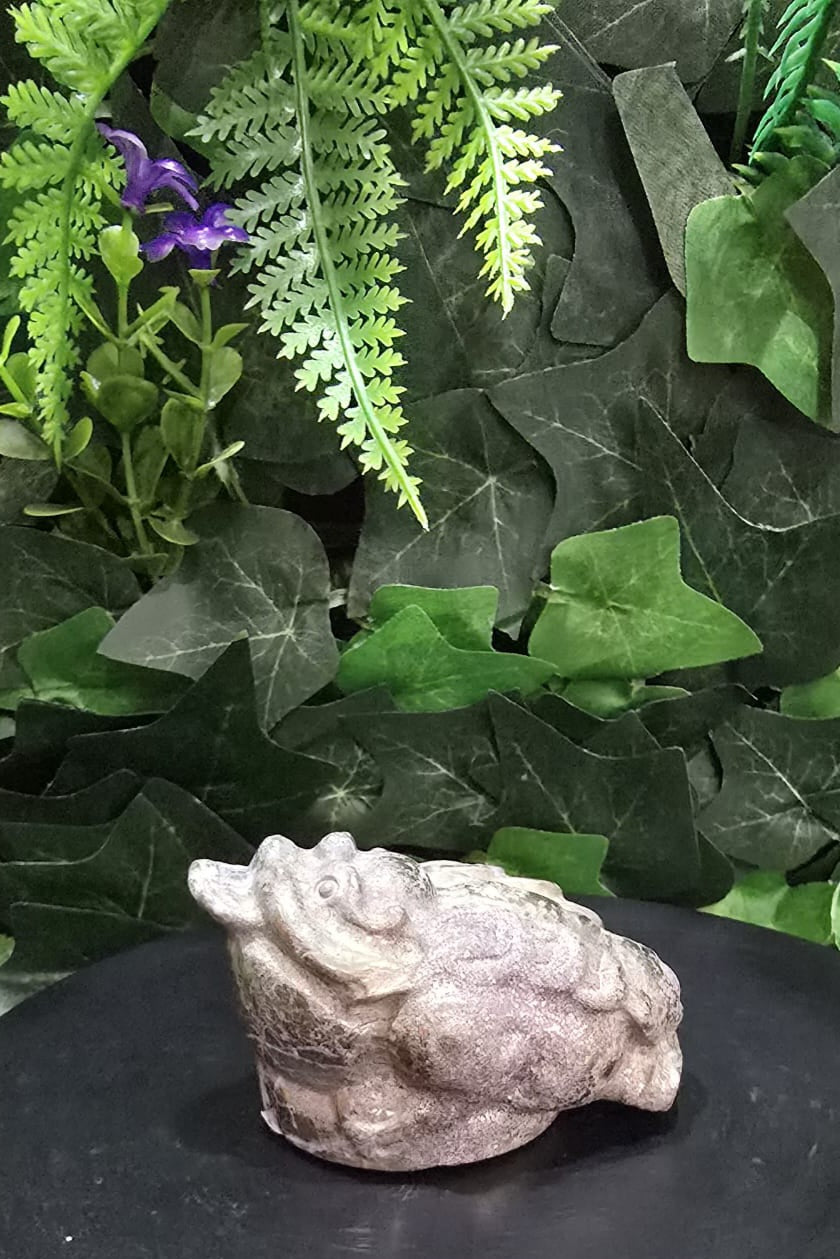 Pyrite Money Toad