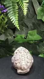 Pyrite Money Toad