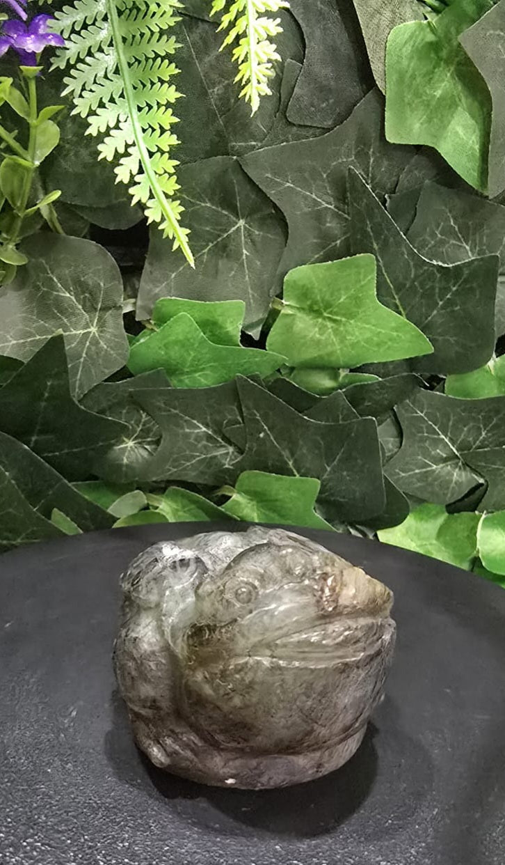 Labradorite Money Toad