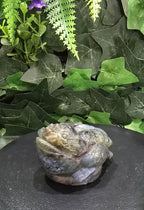 Labradorite Money Toad