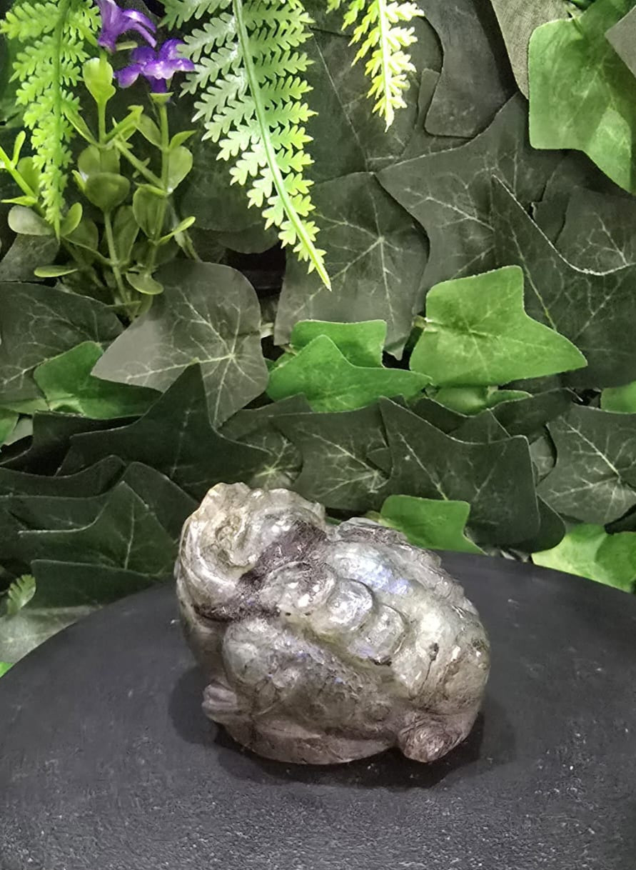 Labradorite Money Toad