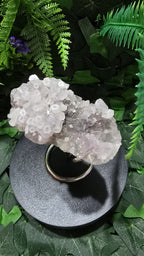 Coin Calcite