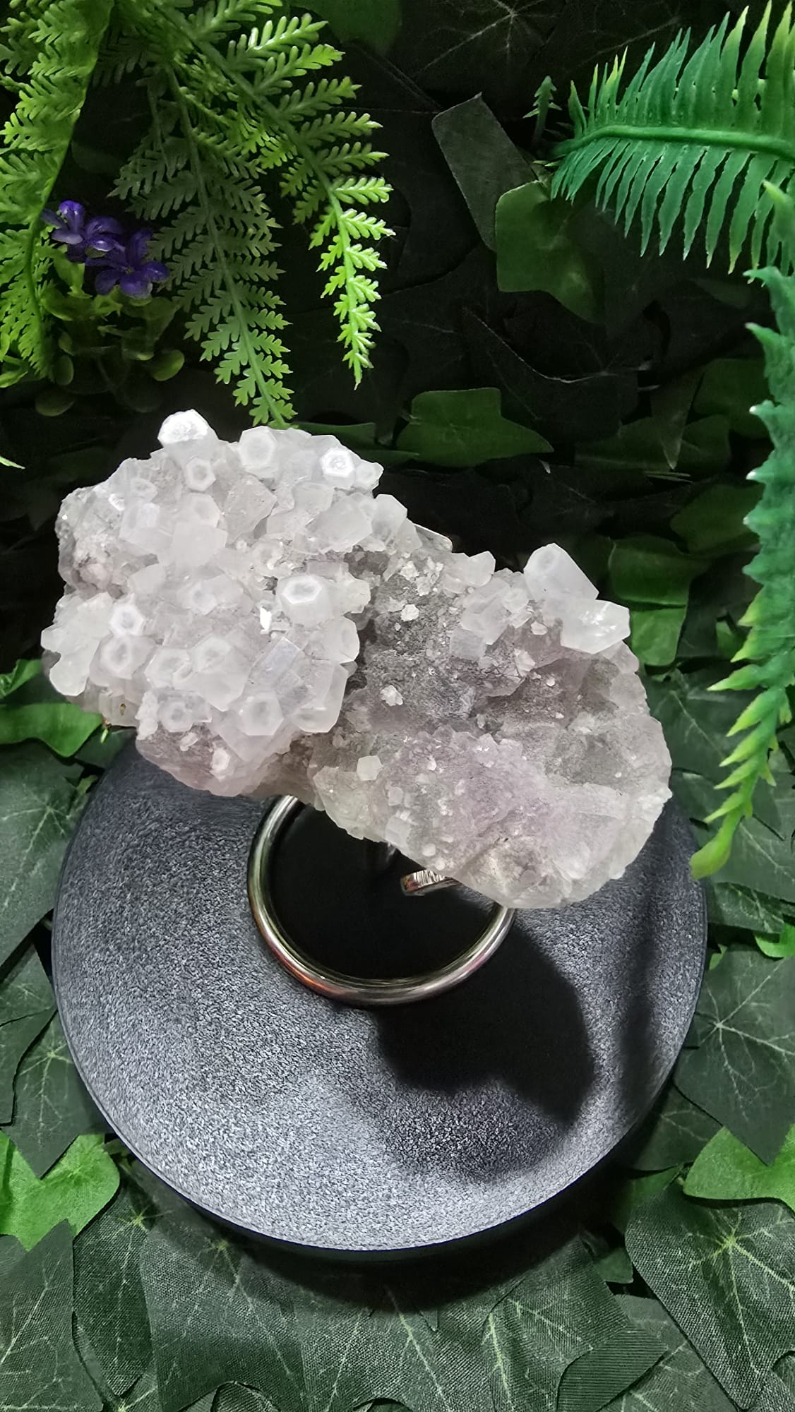Coin Calcite