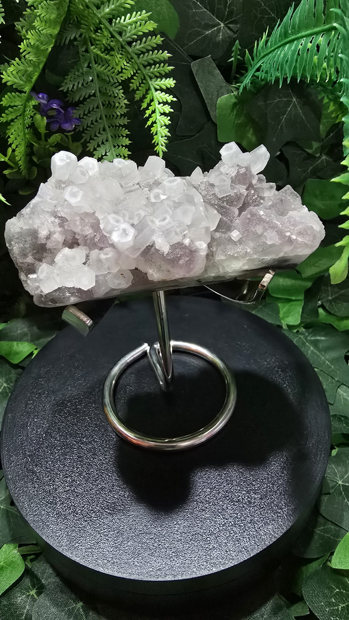 Coin Calcite