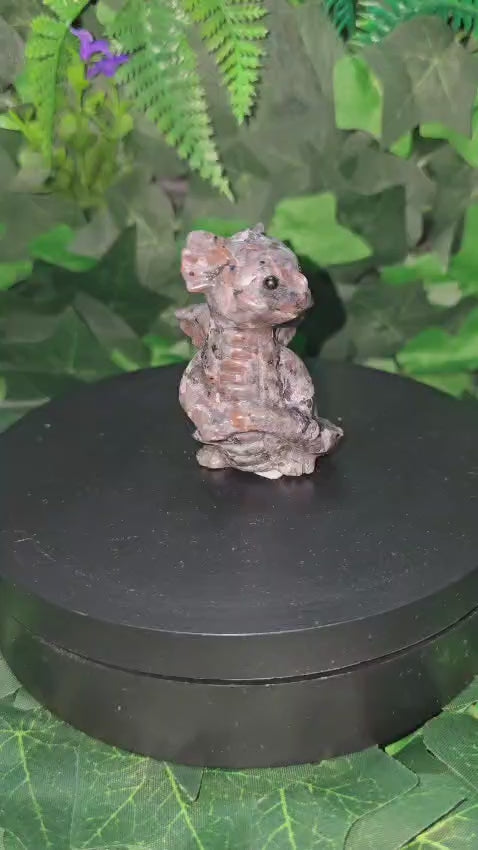 Yooperlite flying dragon
