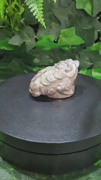 Pyrite Money Toad