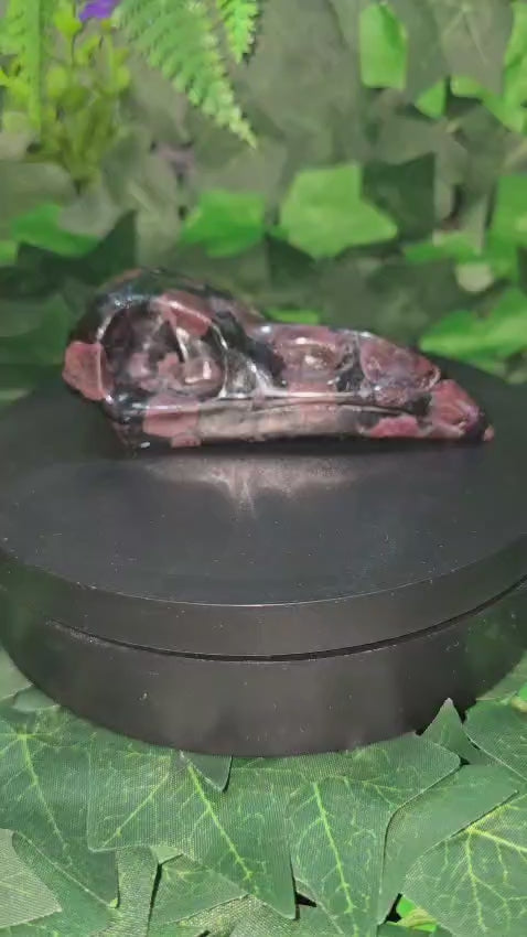 Garnet Raven Skull
